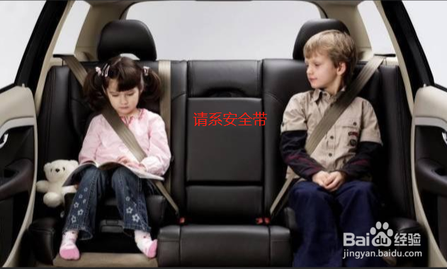 后排没有系安全带怎么处罚