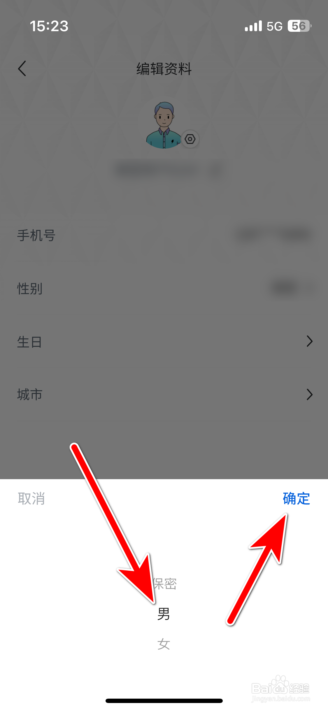 睿蓝汽车如何设置个人性别