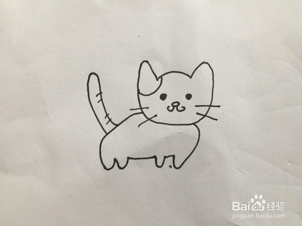 如何画小猫简笔画教程