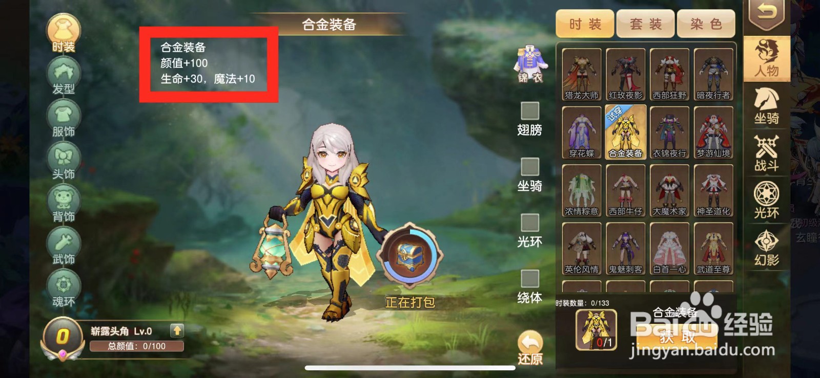 驯龙物语怎么查看时装【合金装备】的属性