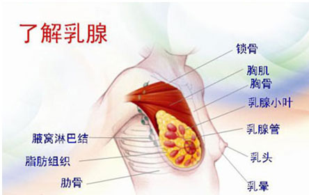 乳腺增生的治疗方法