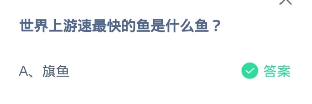 蚂蚁庄园2024.10.25世界上游速最快的鱼是什么鱼