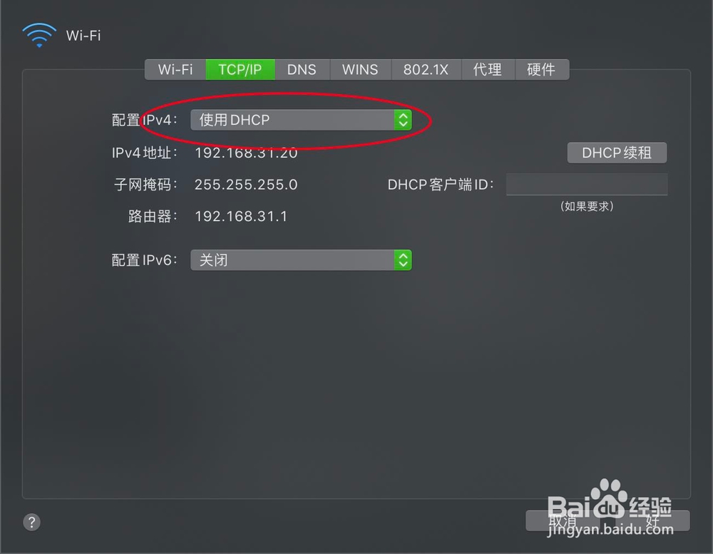 苹果电脑怎么自动获取IP