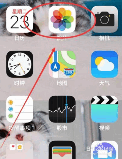 苹果手机如何设定手机壁纸