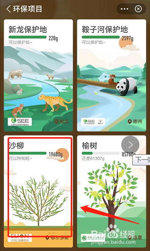 蚂蚁森林怎么申请种树