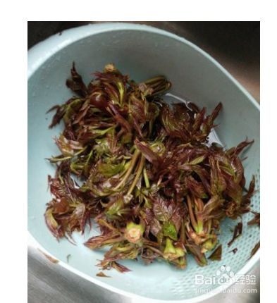 怎么做家常凉拌香椿