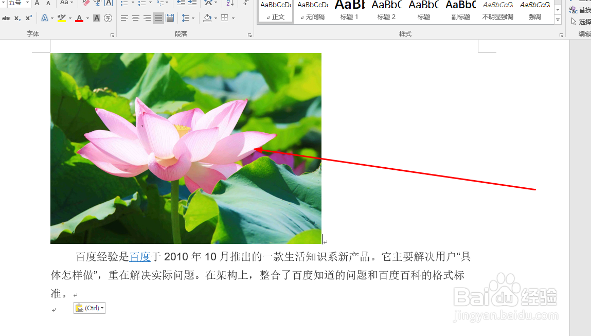 Word中如何设置图片排版样式