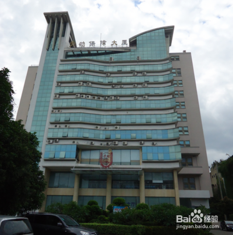 养老保险如何查询