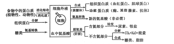 3个月减重10斤经验分享