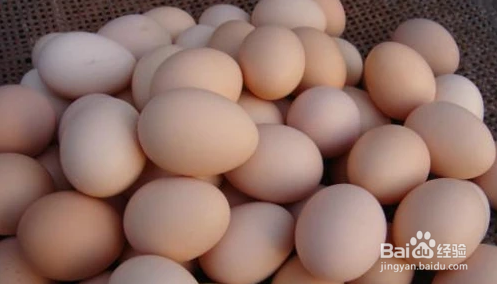 哪些食物对女生长高有帮助？