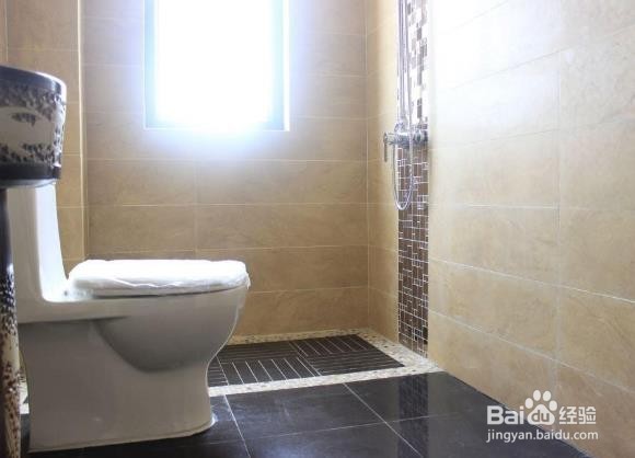 你可知道卫生间有小飞虫怎么根除吗？