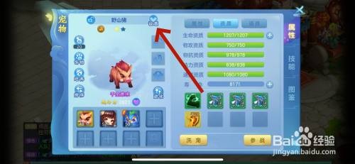 如何在梦想世界3中放生宠物