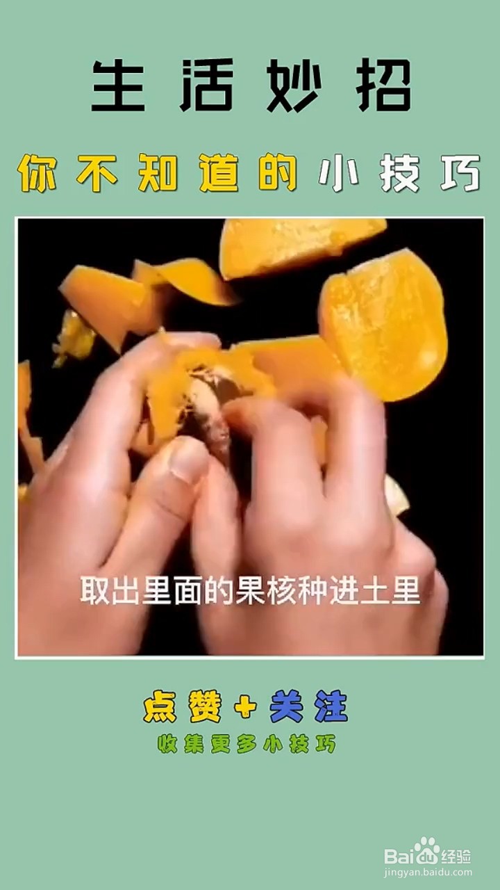 水果种植的小妙招