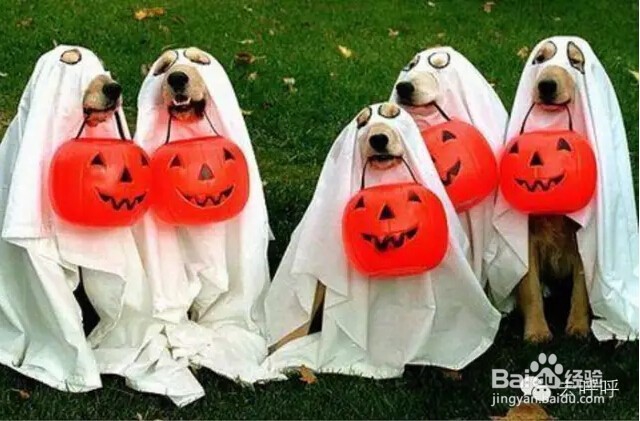 100块如何开一个万圣节派对?