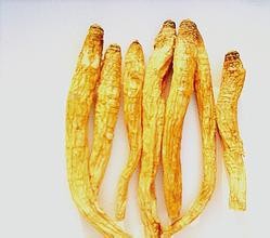 脚气的类型及治疗