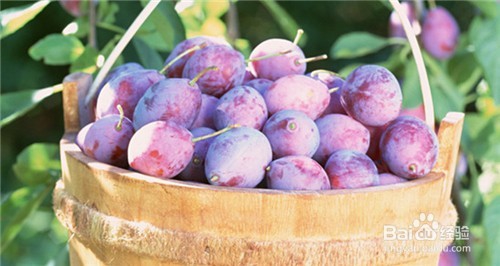 这种水果不常见，但8种营养价值不容忽视！