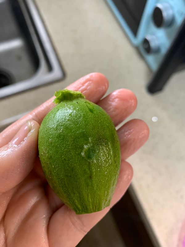 清甜上汤南瓜花