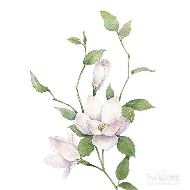刺绣为什么要辅助线