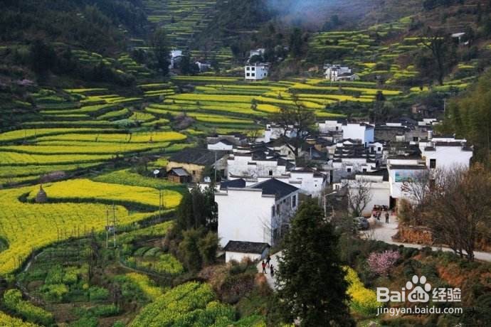 愿你在最美好的年纪，去过这几个地方