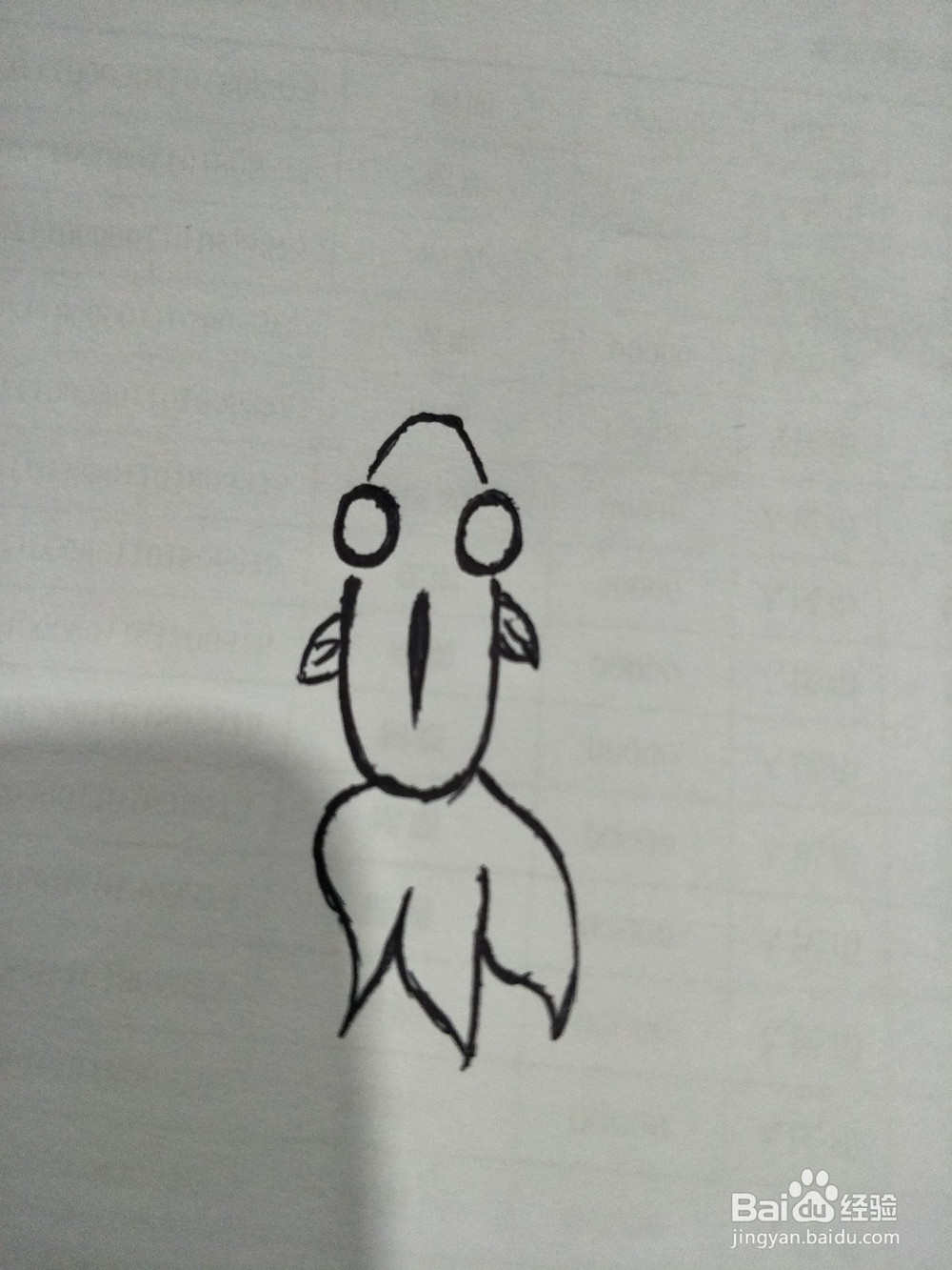 快速画出一条活灵活现的小金鱼