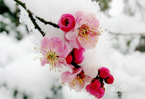 如何写好一篇语文作文