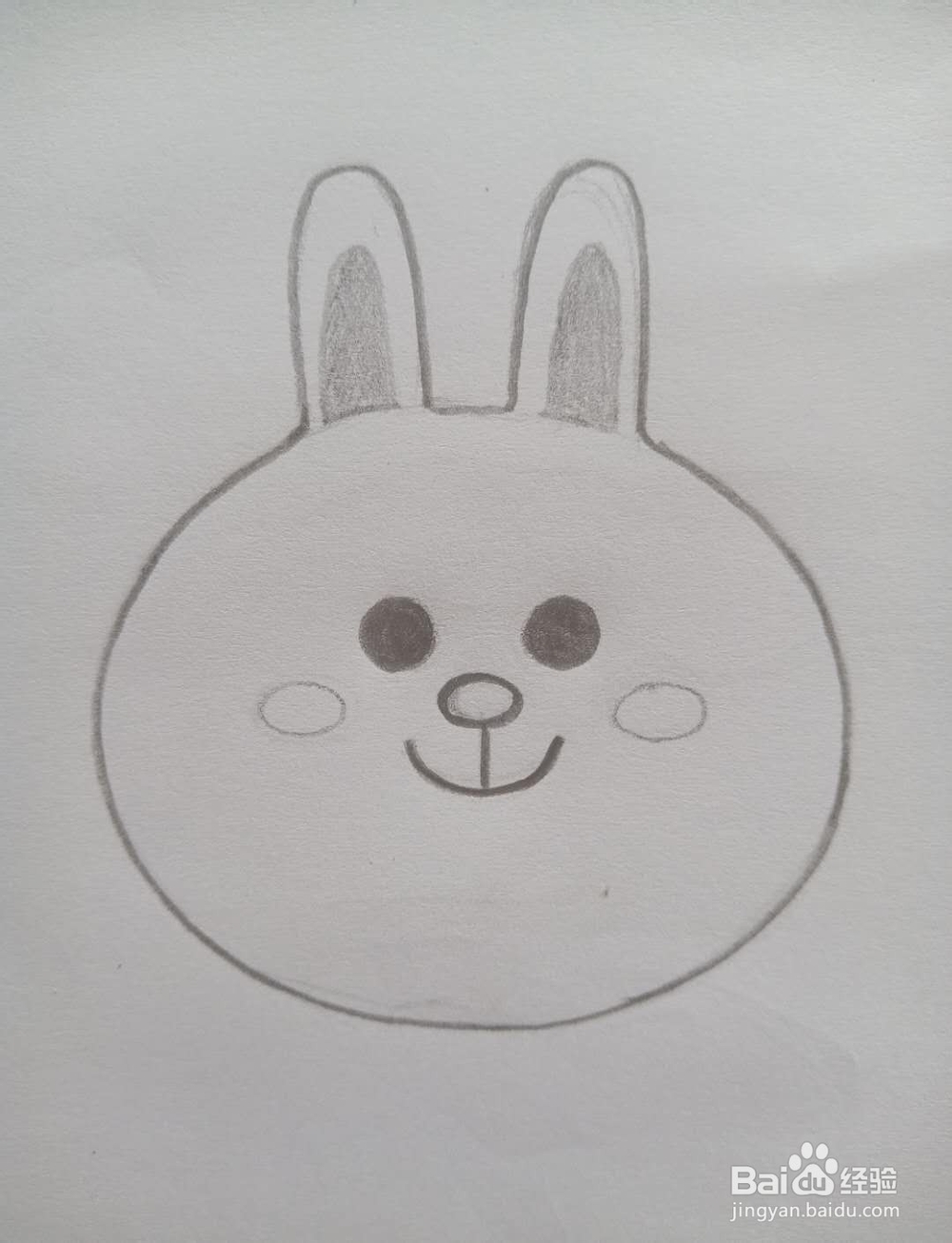 怎么画可妮兔