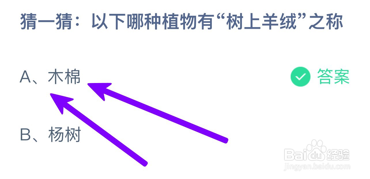 猜一猜:以下哪种植物有“树上羊绒”之称？