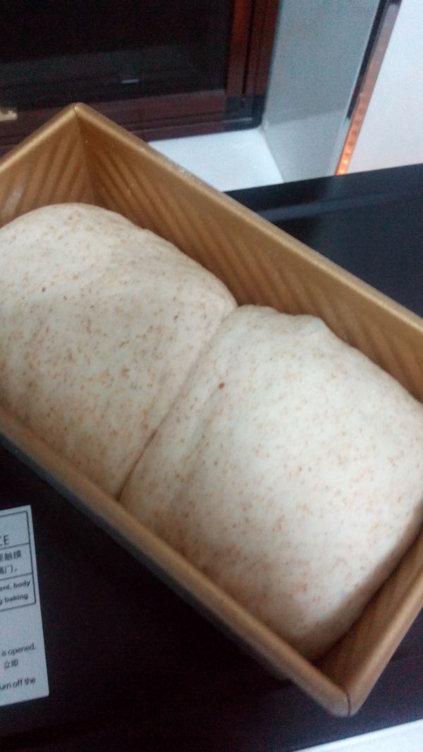 全麦可可双色土司