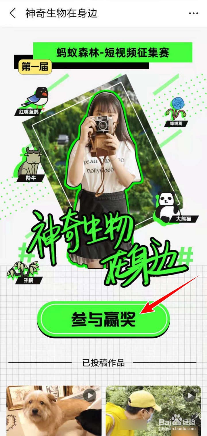 支付宝蚂蚁森林的生物短视频征集赛如何参加