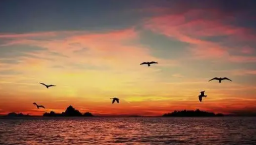 用自己的语言描绘