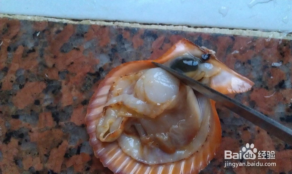葱油蒸扇贝怎么做