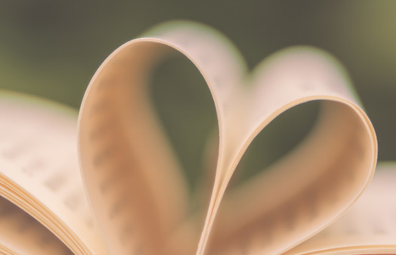 洛薇傅沉渊更新时间