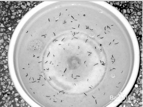 怎样简单判断生活用水的水体是否被污染