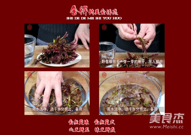香椿的味道的做法