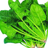 痛风应该少吃什么