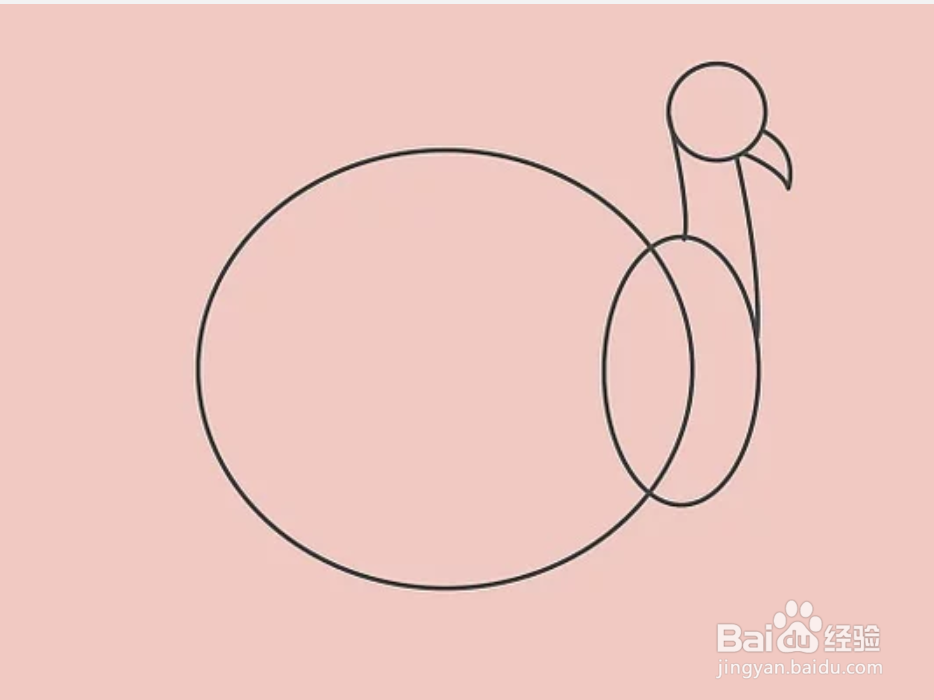 如何画一只火鸡