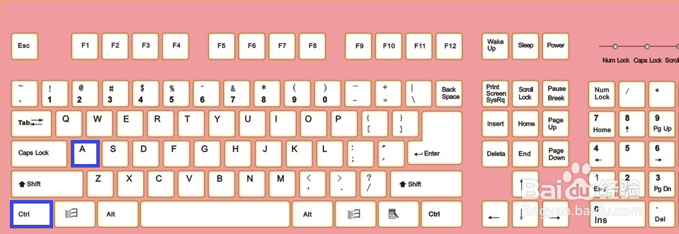 word文档怎么输入大写的拼音