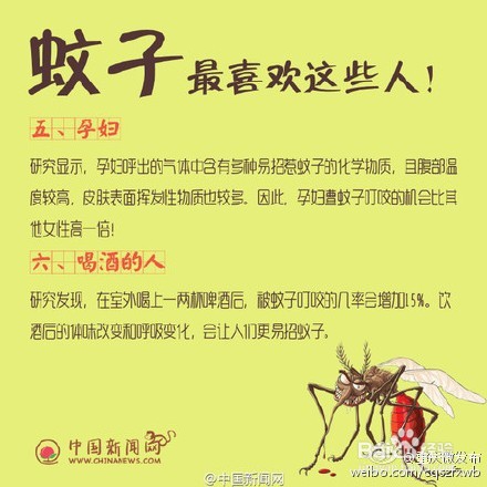 为什么，蚊子爱的总是你？