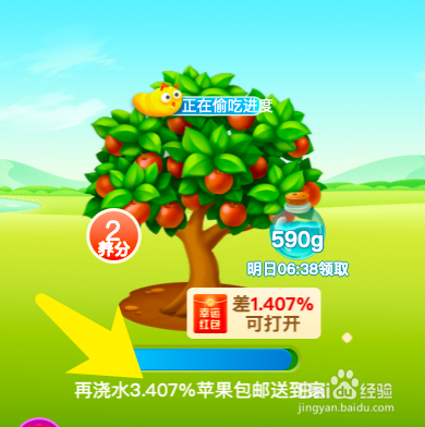 怎样养好幸福树