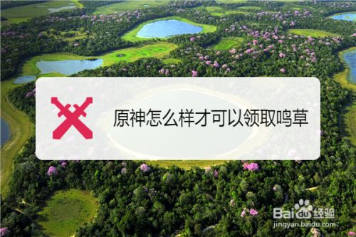 原神怎么样才可以领取鸣草
