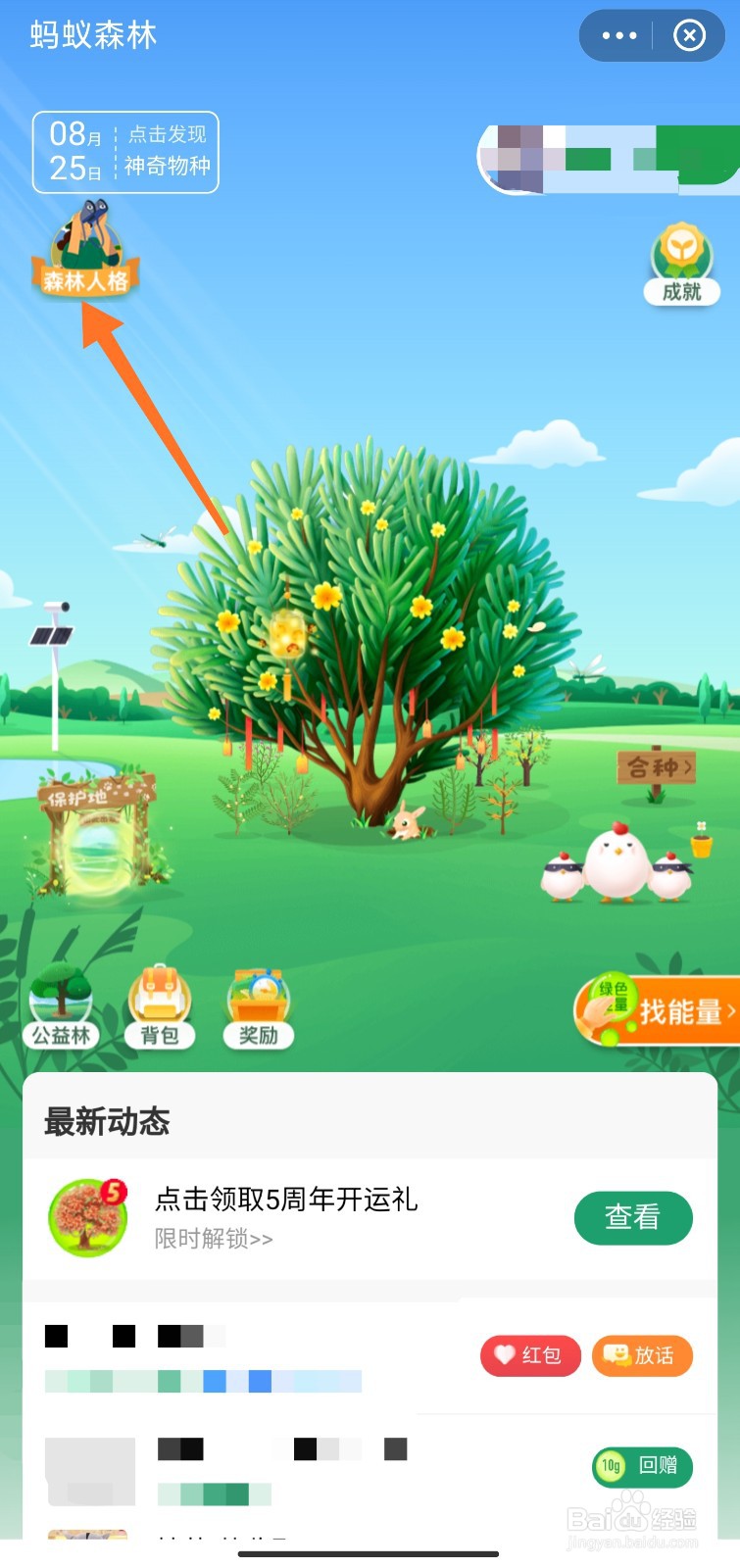支付宝森林人格怎么与好友互测