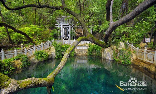 来云南旅游的五大景点