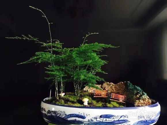 3种花，卧室客厅养1盆，甲醛少了，睡觉也香了！