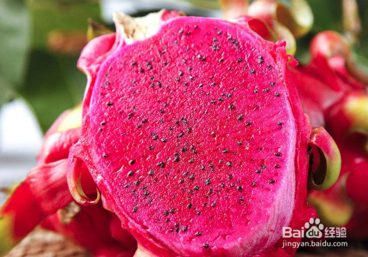 哪些水果在夏季降火效果比较好?