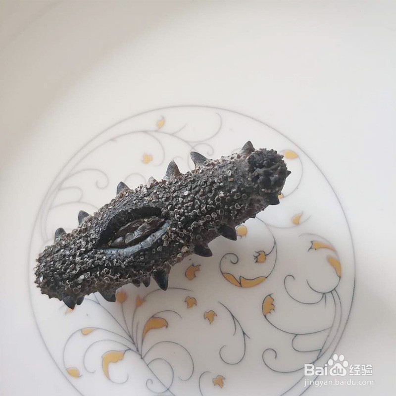 从业20年资深老渔民教你:怎样选购买到好海参