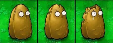 植物大战僵尸蹦蹦舞会攻略