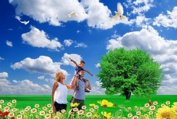 “熊孩子险”怎么样呢