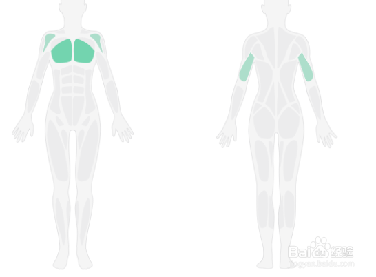 俯卧撑入门锻炼