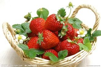 7种水果调理法让女人年轻10岁