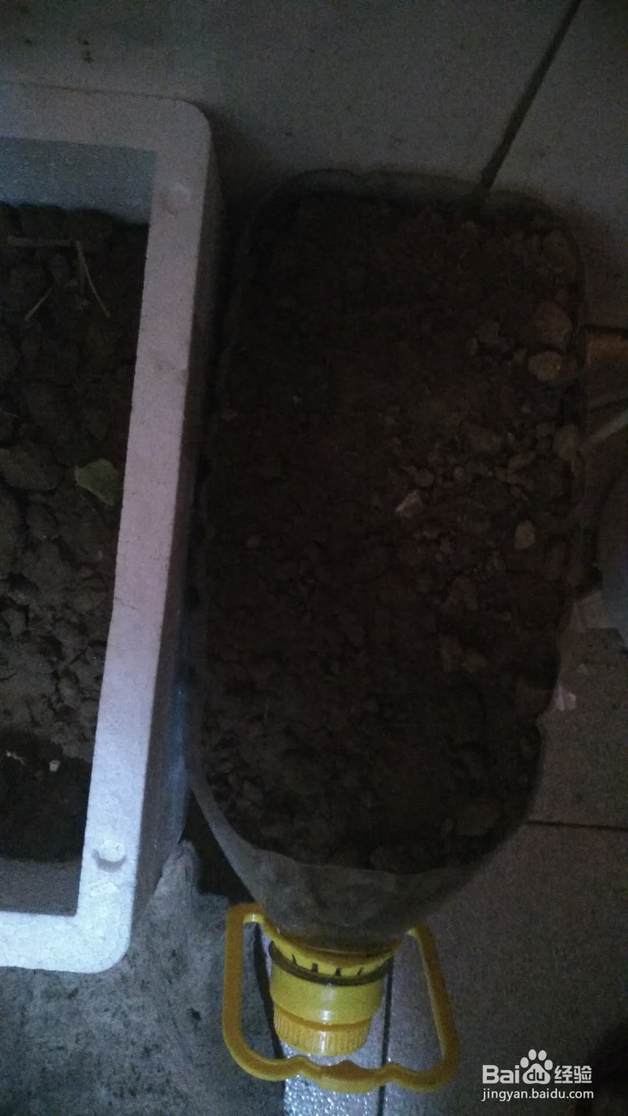 怎样在室内种植蘑菇